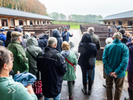 WG031025-12 - Warren Greatrex Stable Visit